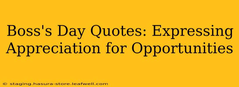 Boss's Day Quotes: Expressing Appreciation for Opportunities