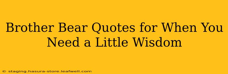 Brother Bear Quotes for When You Need a Little Wisdom