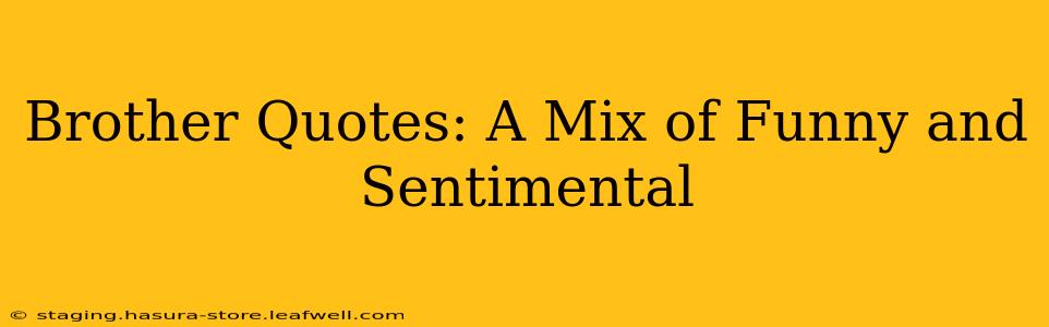 Brother Quotes: A Mix of Funny and Sentimental