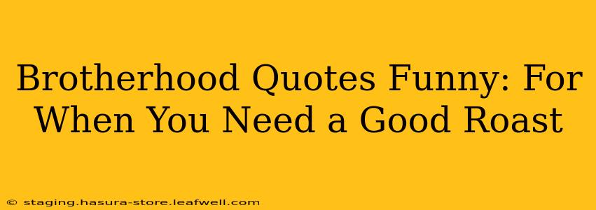 Brotherhood Quotes Funny: For When You Need a Good Roast