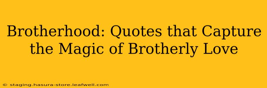 Brotherhood: Quotes that Capture the Magic of Brotherly Love