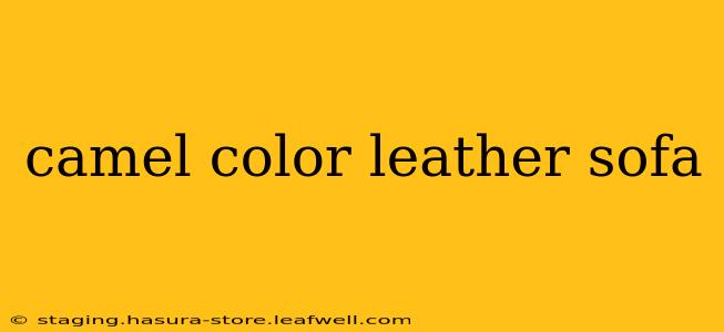 camel color leather sofa