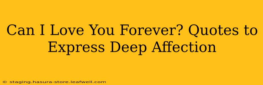 Can I Love You Forever? Quotes to Express Deep Affection