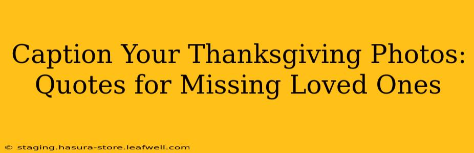 Caption Your Thanksgiving Photos: Quotes for Missing Loved Ones