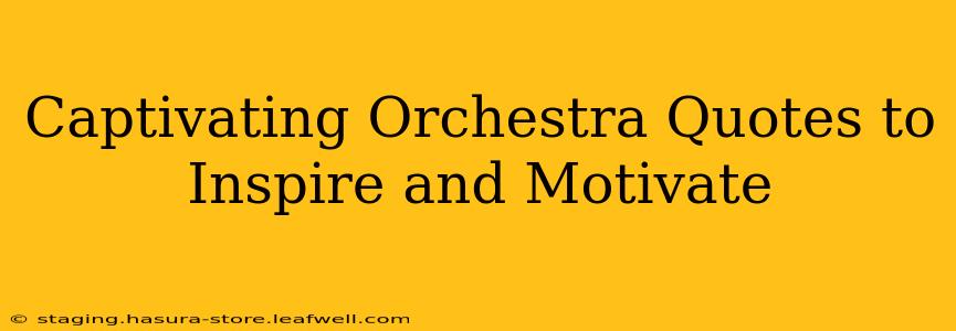 Captivating Orchestra Quotes to Inspire and Motivate