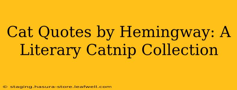 Cat Quotes by Hemingway: A Literary Catnip Collection