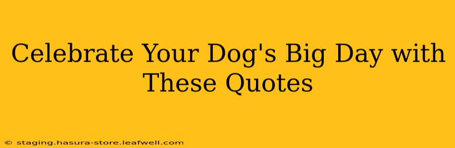 Celebrate Your Dog's Big Day with These Quotes