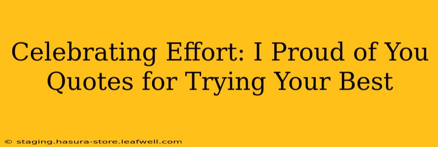 Celebrating Effort: I Proud of You Quotes for Trying Your Best