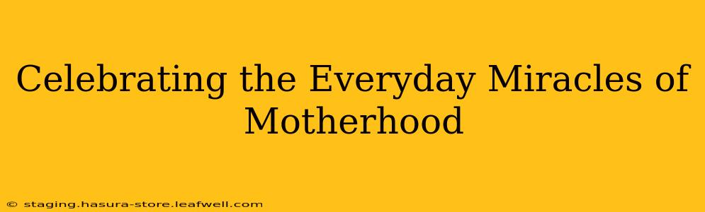 Celebrating the Everyday Miracles of Motherhood