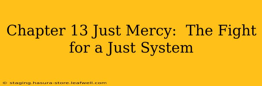 Chapter 13 Just Mercy:  The Fight for a Just System