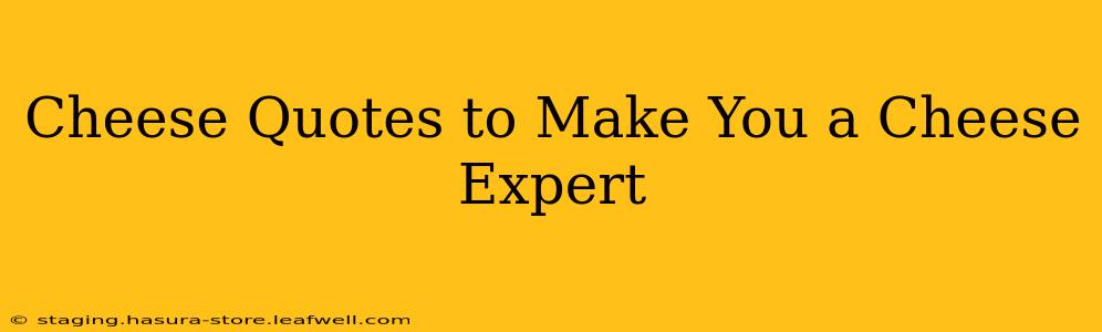 Cheese Quotes to Make You a Cheese Expert