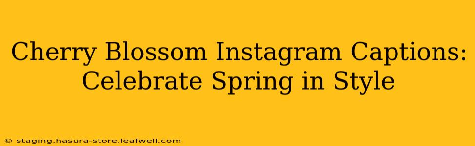 Cherry Blossom Instagram Captions: Celebrate Spring in Style