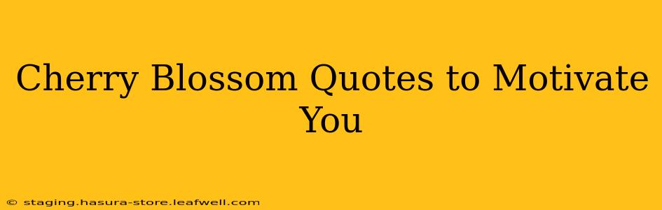 Cherry Blossom Quotes to Motivate You