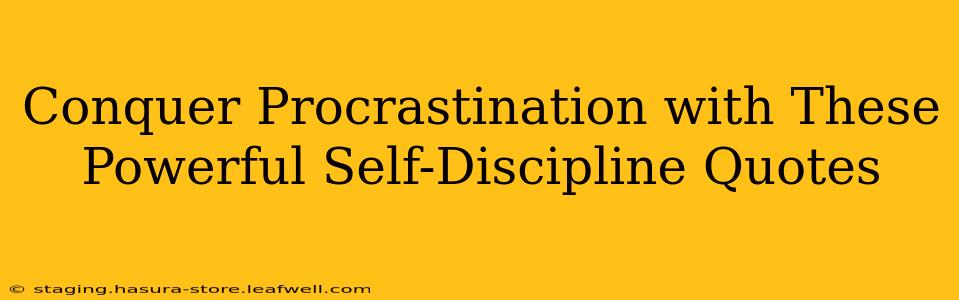 Conquer Procrastination with These Powerful Self-Discipline Quotes