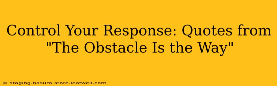 Control Your Response: Quotes from "The Obstacle Is the Way"