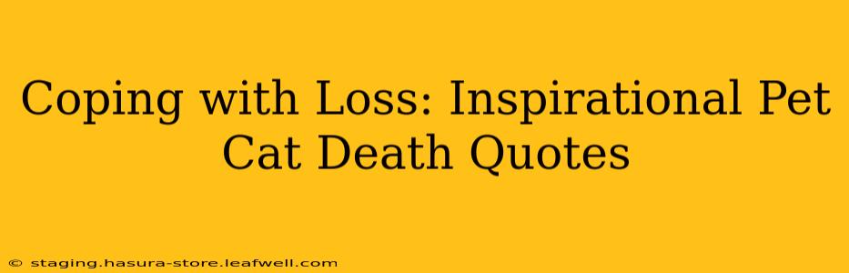 Coping with Loss: Inspirational Pet Cat Death Quotes