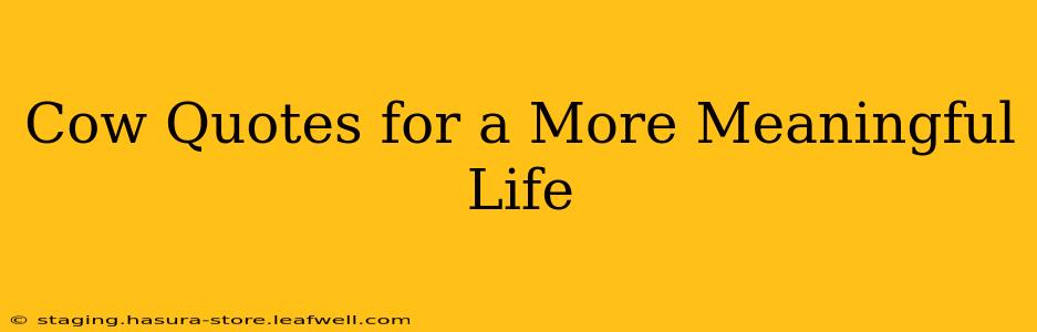 Cow Quotes for a More Meaningful Life