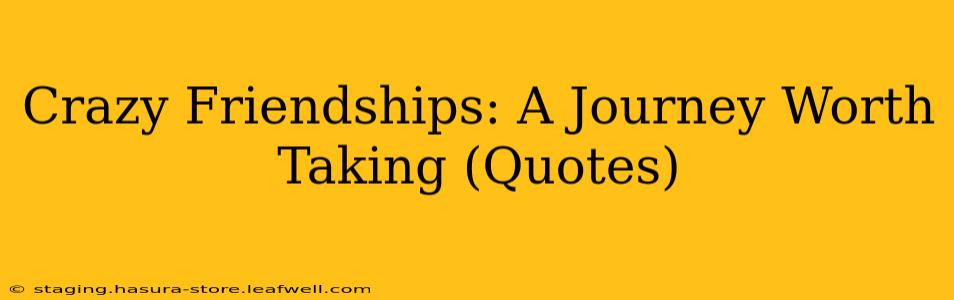 Crazy Friendships: A Journey Worth Taking (Quotes)