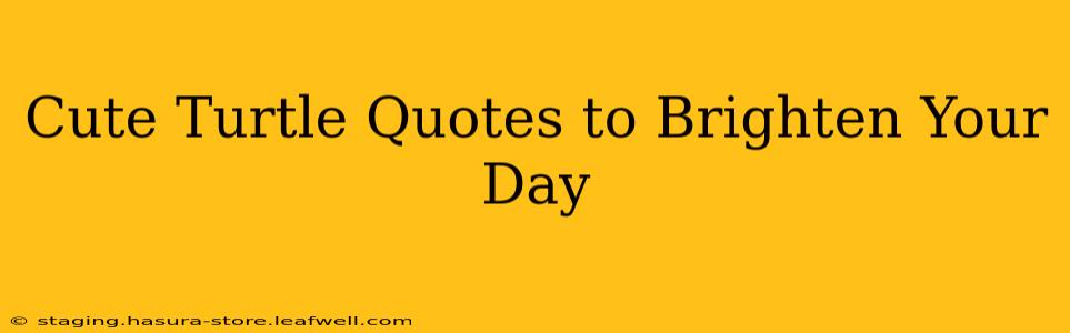 Cute Turtle Quotes to Brighten Your Day