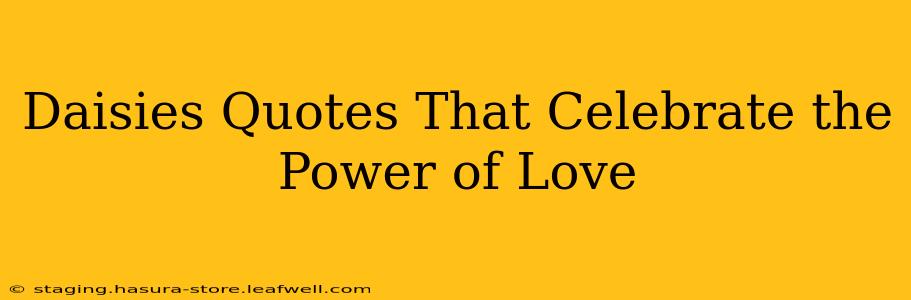 Daisies Quotes That Celebrate the Power of Love