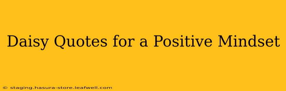 Daisy Quotes for a Positive Mindset