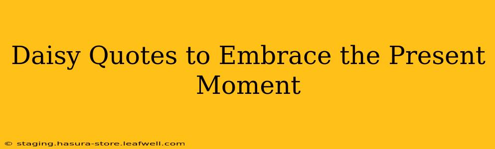 Daisy Quotes to Embrace the Present Moment