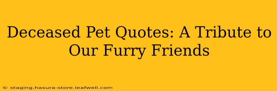 Deceased Pet Quotes: A Tribute to Our Furry Friends