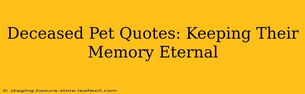 Deceased Pet Quotes: Keeping Their Memory Eternal