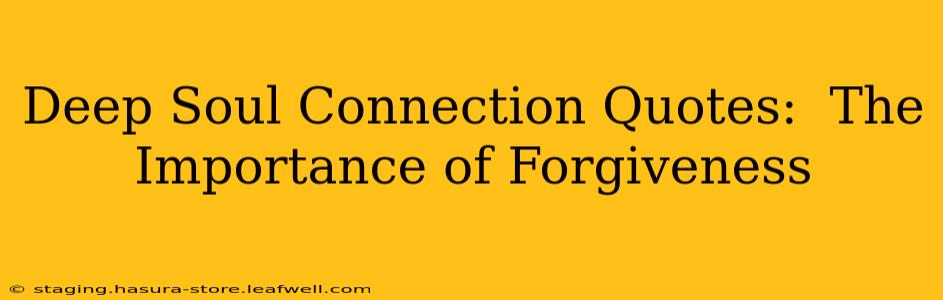 Deep Soul Connection Quotes:  The Importance of Forgiveness