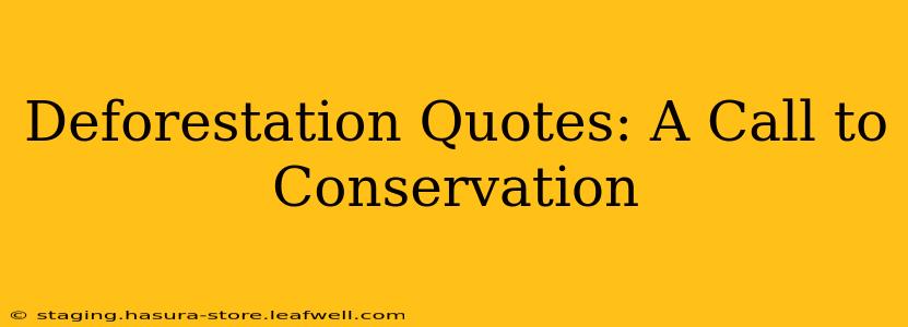 Deforestation Quotes: A Call to Conservation