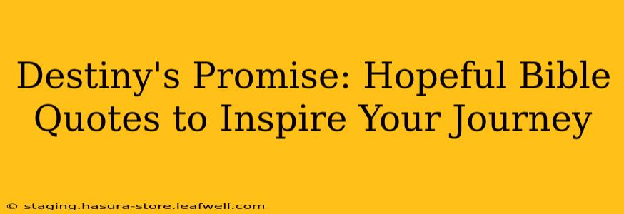 Destiny's Promise: Hopeful Bible Quotes to Inspire Your Journey