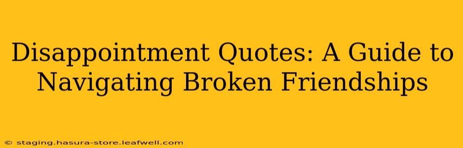Disappointment Quotes: A Guide to Navigating Broken Friendships