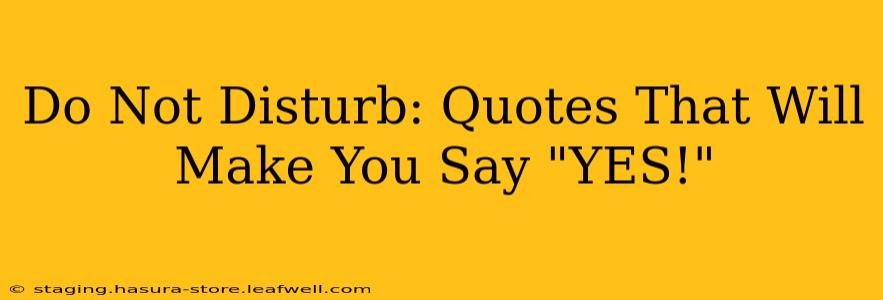 Do Not Disturb: Quotes That Will Make You Say "YES!"