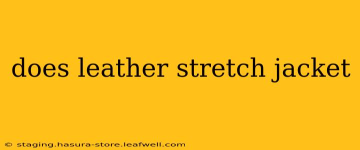 does leather stretch jacket