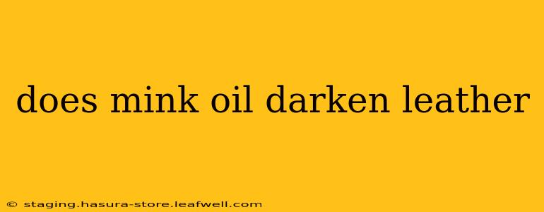 does mink oil darken leather