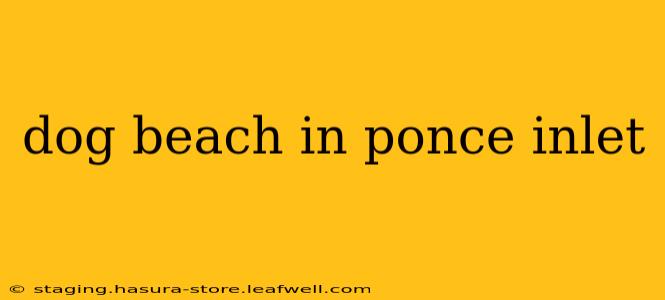 dog beach in ponce inlet