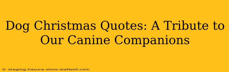 Dog Christmas Quotes: A Tribute to Our Canine Companions