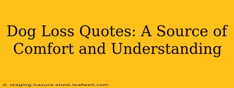 Dog Loss Quotes: A Source of Comfort and Understanding