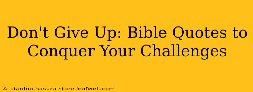 Don't Give Up: Bible Quotes to Conquer Your Challenges