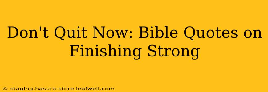 Don't Quit Now: Bible Quotes on Finishing Strong