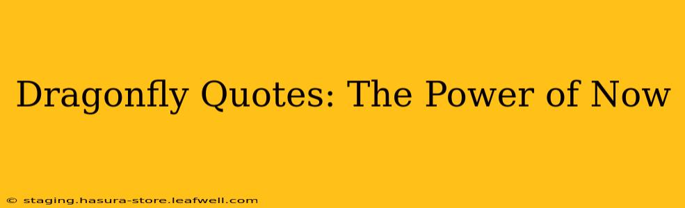 Dragonfly Quotes: The Power of Now