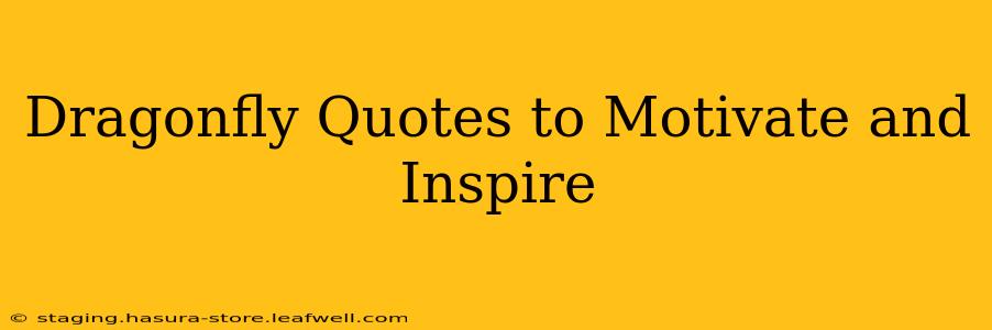 Dragonfly Quotes to Motivate and Inspire