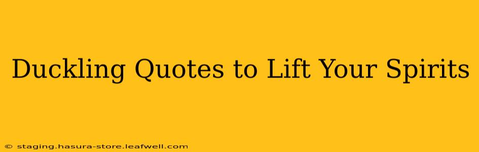 Duckling Quotes to Lift Your Spirits
