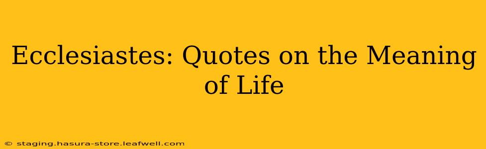 Ecclesiastes: Quotes on the Meaning of Life