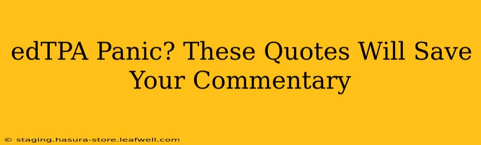edTPA Panic? These Quotes Will Save Your Commentary