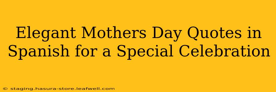 Elegant Mothers Day Quotes in Spanish for a Special Celebration