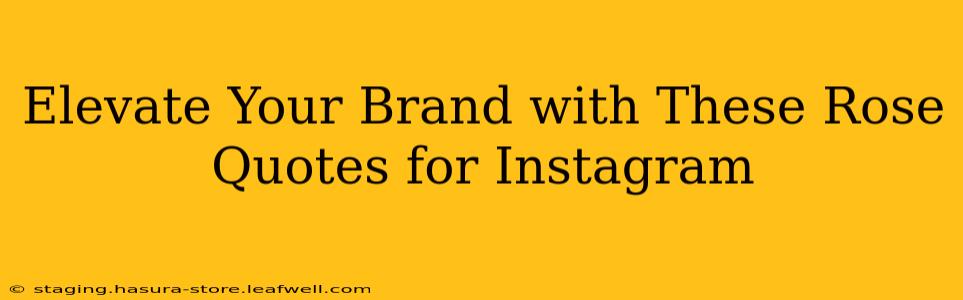 Elevate Your Brand with These Rose Quotes for Instagram