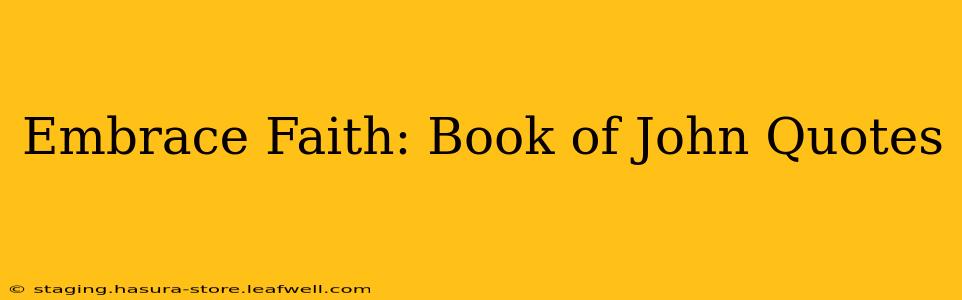 Embrace Faith: Book of John Quotes