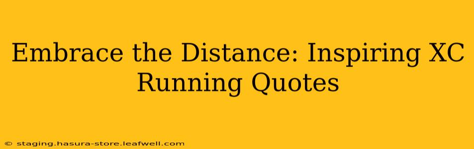 Embrace the Distance: Inspiring XC Running Quotes