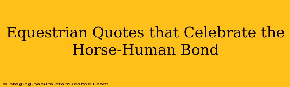 Equestrian Quotes that Celebrate the Horse-Human Bond